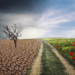 sustainability, sustainabilitiy bonds, sustainabilitiy finance